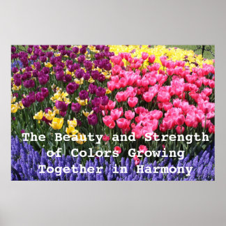 IMG_5044, The Beauty and Strength of Colours Gro.. Poster
