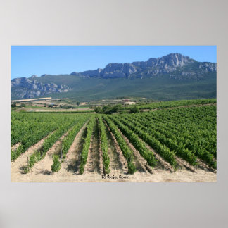 IMG_6159, La Rioja, Spain Poster