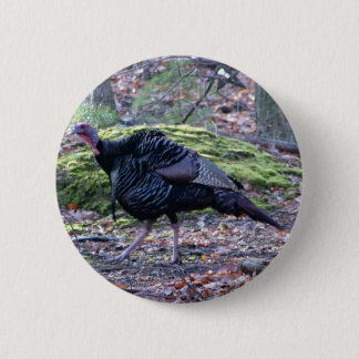 IMG_6278_edited 6 Cm Round Badge