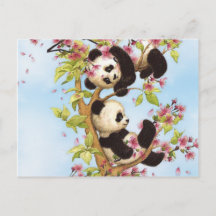 IMG_7386.PNG  cute and colourful panda designed