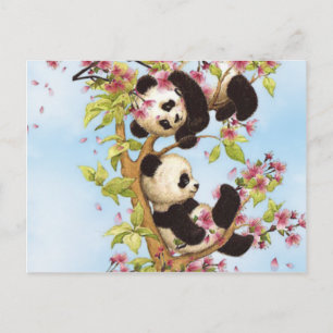 IMG_7386.PNG  cute and colourful panda designed Postcard