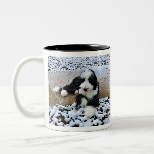 IMG_9916 Two-Tone COFFEE MUG (Left)