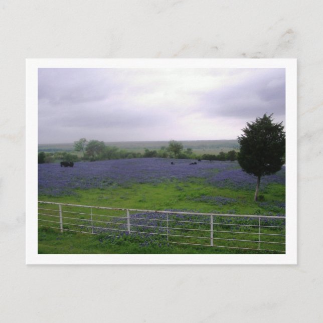 IMGP4300 POSTCARD (Front)