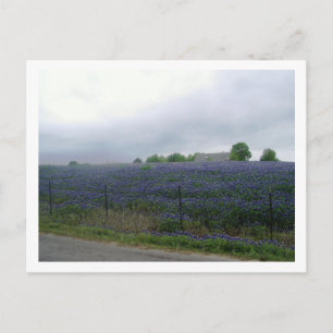 IMGP4303 POSTCARD