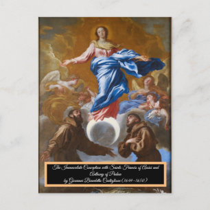 Immaculate Conception Postcard