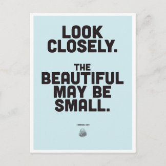 Immanuel Kant Inspirational Quote Postcard