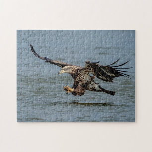 Immature Bald Eagle diving for a fish Jigsaw Puzzle