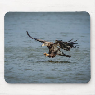 Immature Bald Eagle diving for a fish Mouse Pad