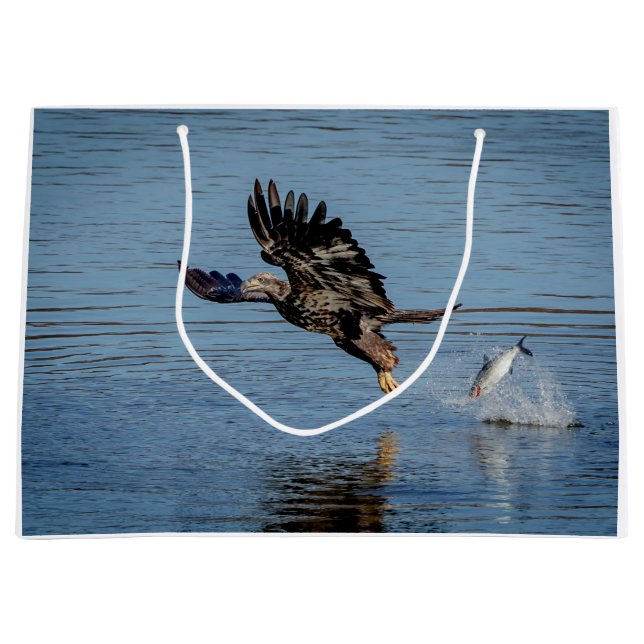 Immature Bald Eagle dropping a fish Large Gift Bag (Front)