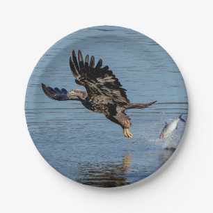 Immature Bald Eagle dropping a fish Paper Plate