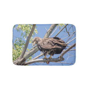 Immature Bald Eagle with a Catfish Bath Mat