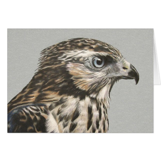 Immature Goshawk card (Front Horizontal)