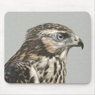 Immature Goshawk Mouse Pad