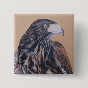 Immature Harris Hawk 15 Cm Square Badge
