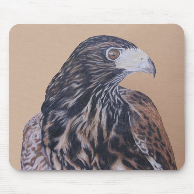 Immature Harris Hawk Mouse Pad (Front)