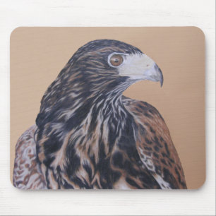 Immature Harris Hawk Mouse Pad
