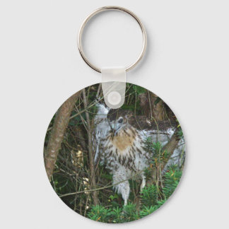 Immature Red Tailed Hawk Coordinating Items Key Ring