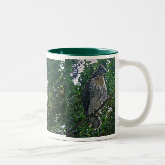Immature Red Tailed Hawk Coordinating Items Two-Tone Coffee Mug (Right)