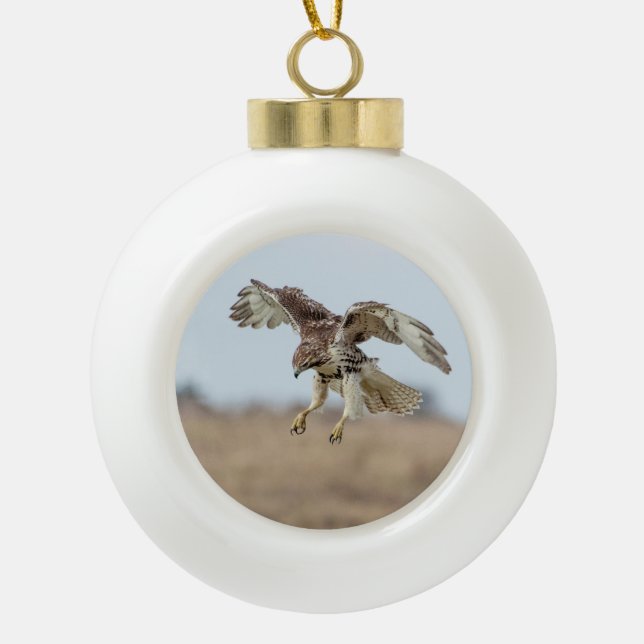 Immature Red Tailed Hawk Hovering Ceramic Ball Christmas Ornament (Front)