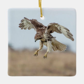 Immature Red Tailed Hawk Hovering Ceramic Tree Decoration