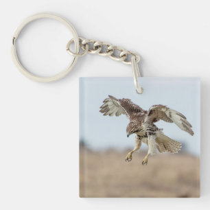 Immature Red Tailed Hawk Hovering Key Ring