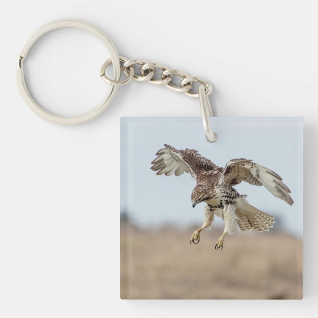 Immature Red Tailed Hawk Hovering Key Ring (Front)