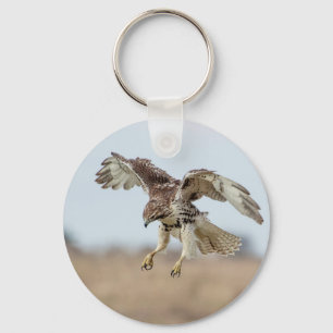 Immature Red Tailed Hawk Hovering Key Ring