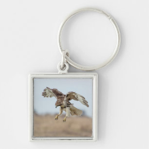 Immature Red Tailed Hawk Hovering Key Ring