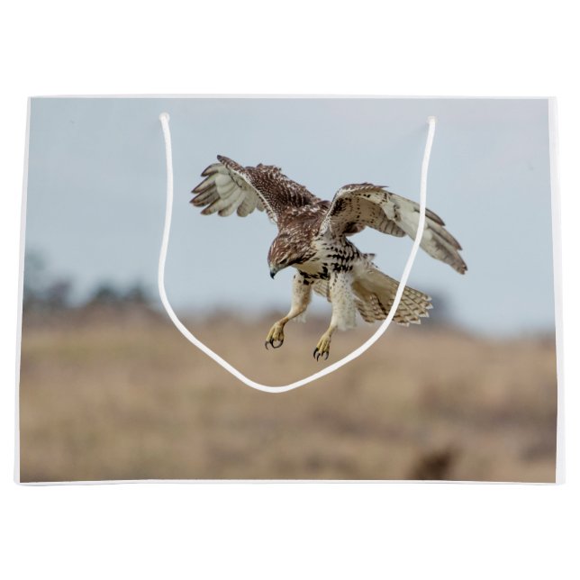 Immature Red Tailed Hawk Hovering Large Gift Bag (Front)