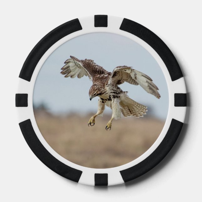 Immature Red Tailed Hawk Hovering Poker Chips (Front)