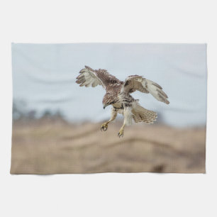 Immature Red Tailed Hawk Hovering Tea Towel