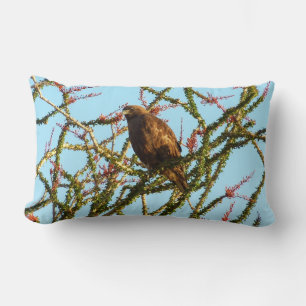 Immature Red-Tailed Hawk in Ocotillo Bush Lumbar Cushion