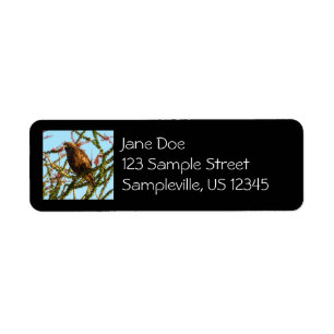 Immature Red-Tailed Hawk in Ocotillo Bush Return Address Label