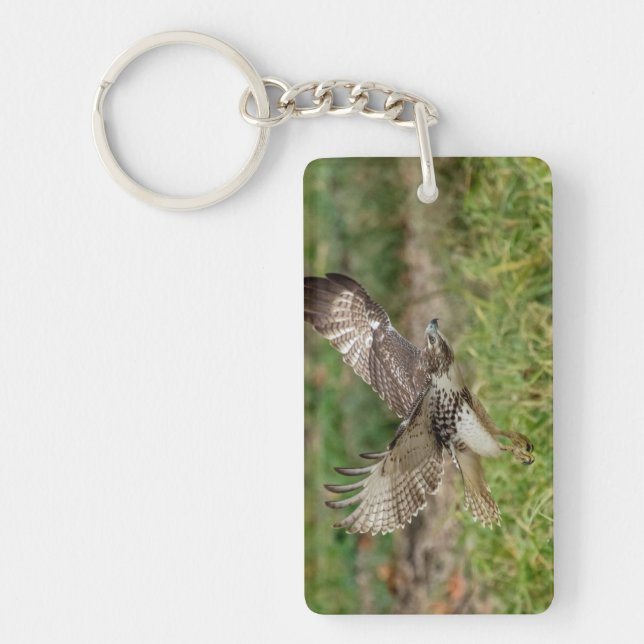 Immature Red Tailed Hawk Key Ring (Front)