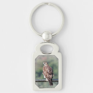 Immature Red Tailed Hawk Key Ring