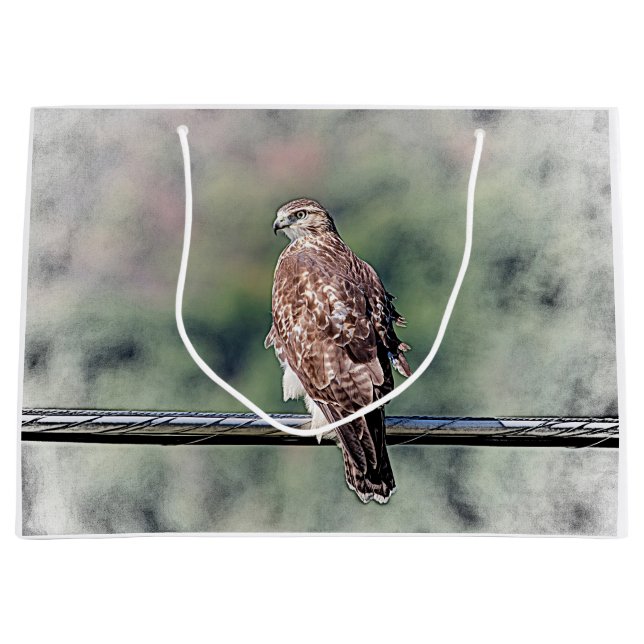 Immature Red Tailed Hawk Large Gift Bag (Front)