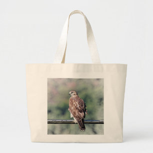 Immature Red Tailed Hawk Large Tote Bag
