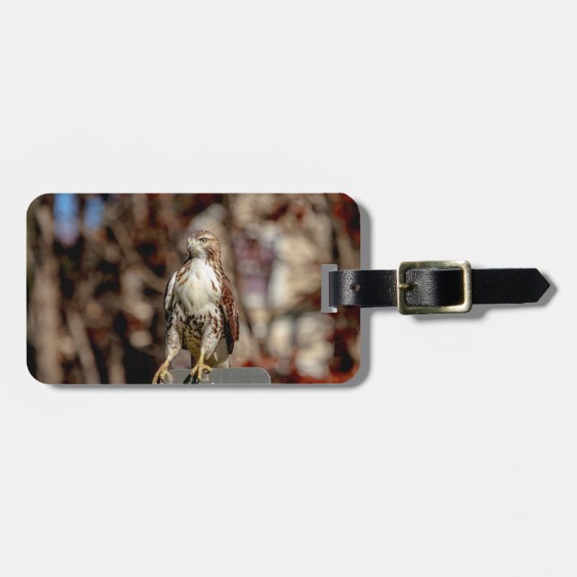 Immature Red Tailed Hawk Luggage Tag (Front Horizontal)