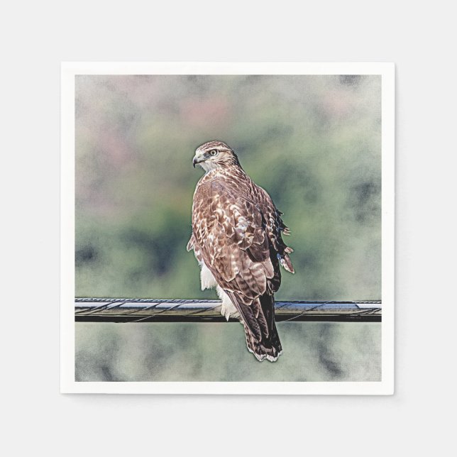 Immature Red Tailed Hawk Napkin (Front)