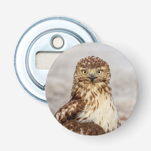 Immature Red-Tailed Hawk on the ground Bottle Opener