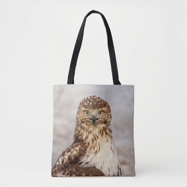 Immature Red-Tailed Hawk on the ground Tote Bag (Front)