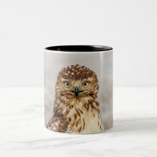 Immature Red-Tailed Hawk on the ground Two-Tone Coffee Mug