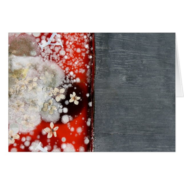 Immortality 2 (Front Horizontal)