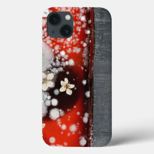 Immortality 2 iPhone 13 case