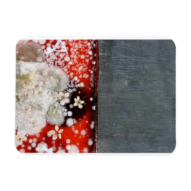 Immortality 2 magnet (Horizontal)