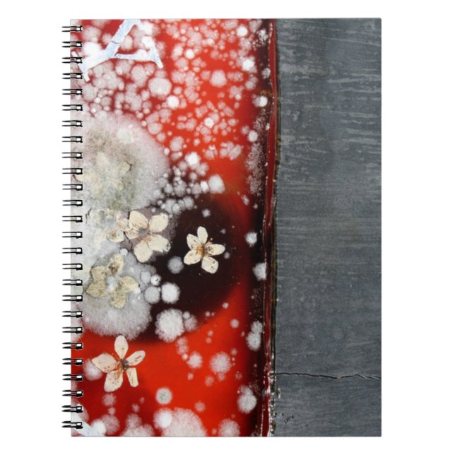 Immortality 2 notebook (Front)