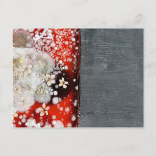 Immortality 2 postcard