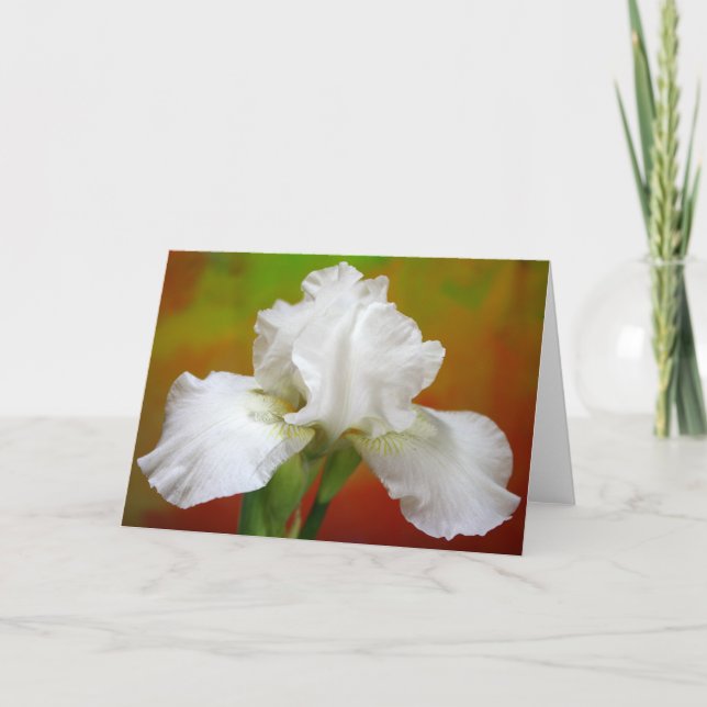 "Immortality" Iris Photography Holiday Card (Front)