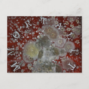Immortality Postcard