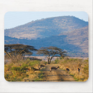 Impala (Aepyceros Melampus), Hluhluwe-Umfolozi Mouse Pad